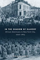 In the Shadow of Slavery : African Americans in New York City, 1626-1863
