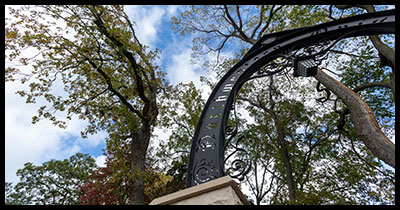 Close up of Weber Arch, black metal arch among the spring trees